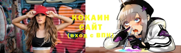 дмт Галич