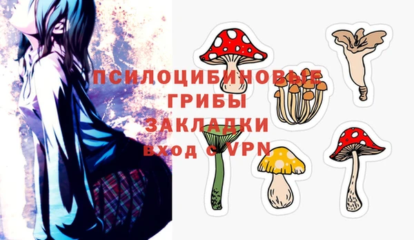 прущие крисы Бронницы