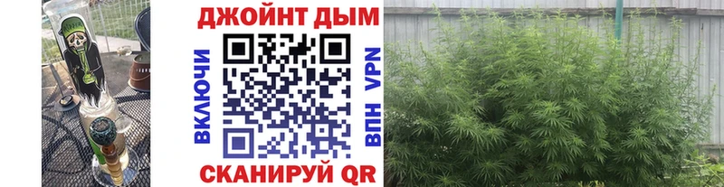купить наркотики цена  Няндома  гидра как зайти  Бошки Шишки Ganja 